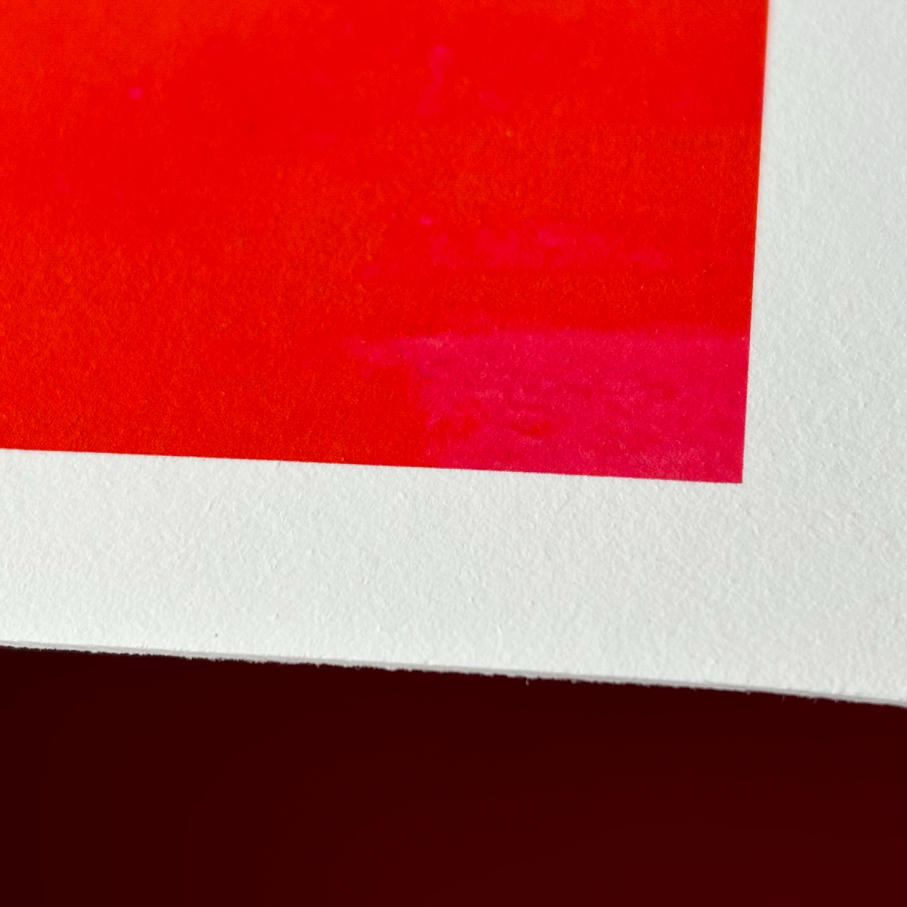 "CHAMÄLEON" signierter Fine Art Print A4