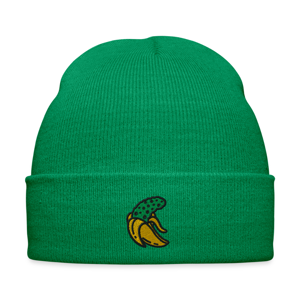 Winter Hat - kelly green